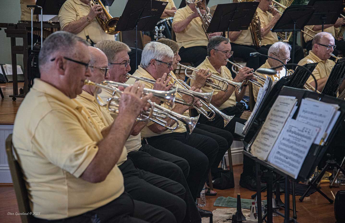 Lake Concert Band trumpet section